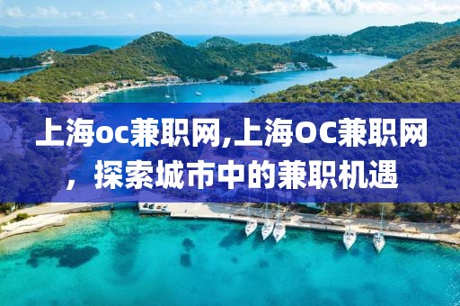 上海oc兼职网,上海OC兼职网，探索城市中的兼职机遇