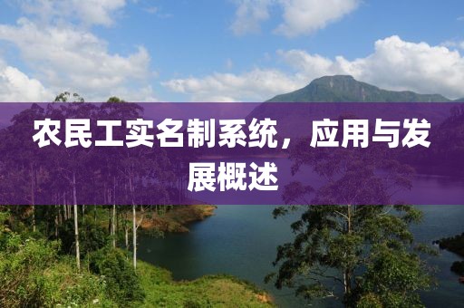 农民工实名制系统，应用与发展概述