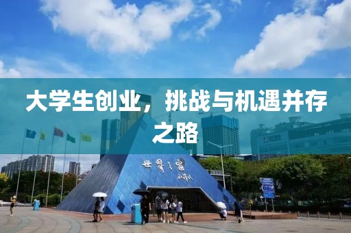 大学生创业，挑战与机遇并存之路