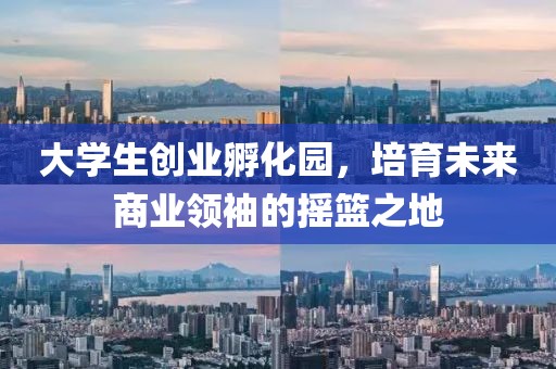 大学生创业孵化园，培育未来商业领袖的摇篮之地