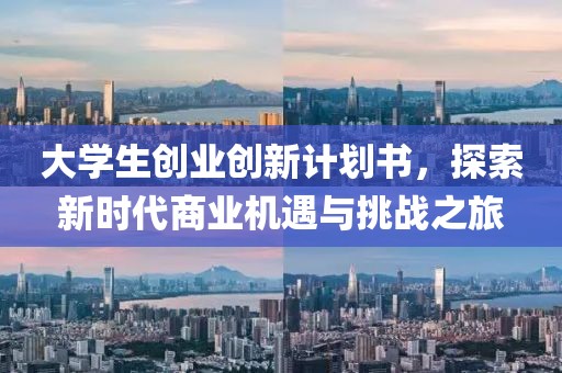 大学生创业创新计划书，探索新时代商业机遇与挑战之旅