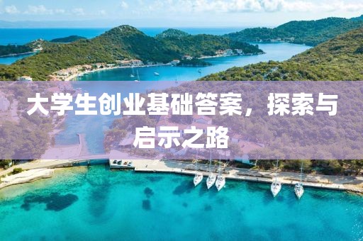 大学生创业基础答案，探索与启示之路