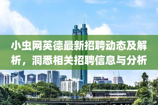 小虫网英德最新招聘动态及解析，洞悉相关招聘信息与分析