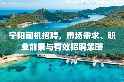 宁阳司机招聘，市场需求、职业前景与有效招聘策略