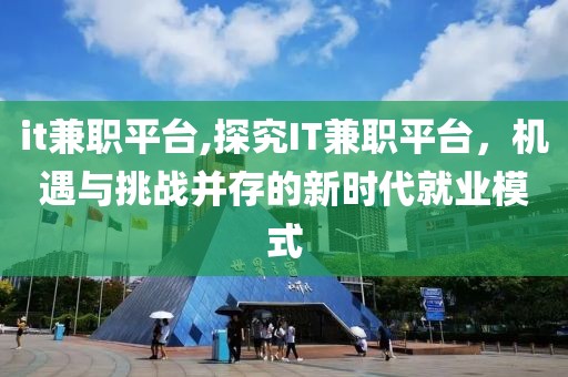 it兼职平台,探究IT兼职平台，机遇与挑战并存的新时代就业模式