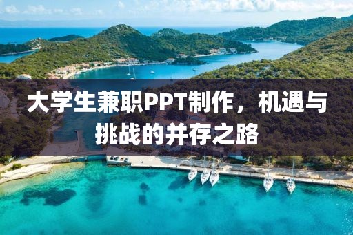 大学生兼职PPT制作，机遇与挑战的并存之路