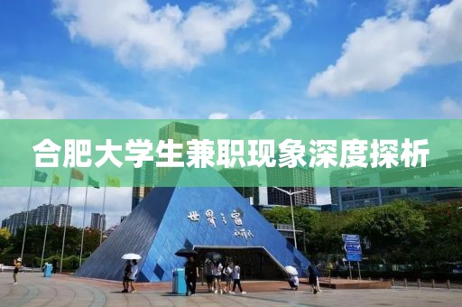 合肥大学生兼职现象深度探析