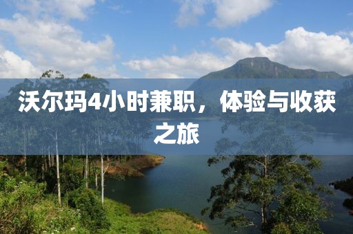 沃尔玛4小时兼职，体验与收获之旅